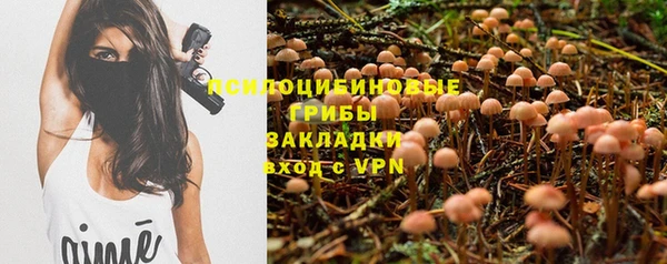 стафф Магас
