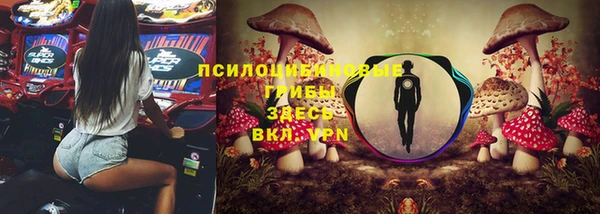 стафф Магас
