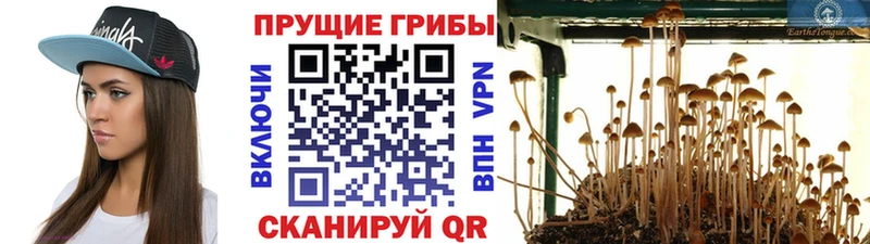 сайты даркнета Telegram  Похвистнево  Галлюциногенные грибы Psilocybe 