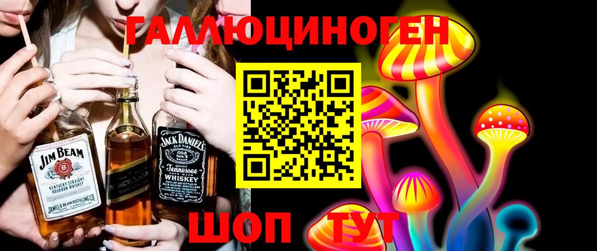 Псилоцибиновые грибы Cubensis Похвистнево