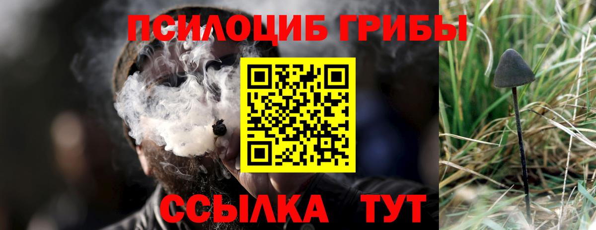 Галлюциногенные грибы мухоморы  Вход с VPN  цены наркотик  Похвистнево 